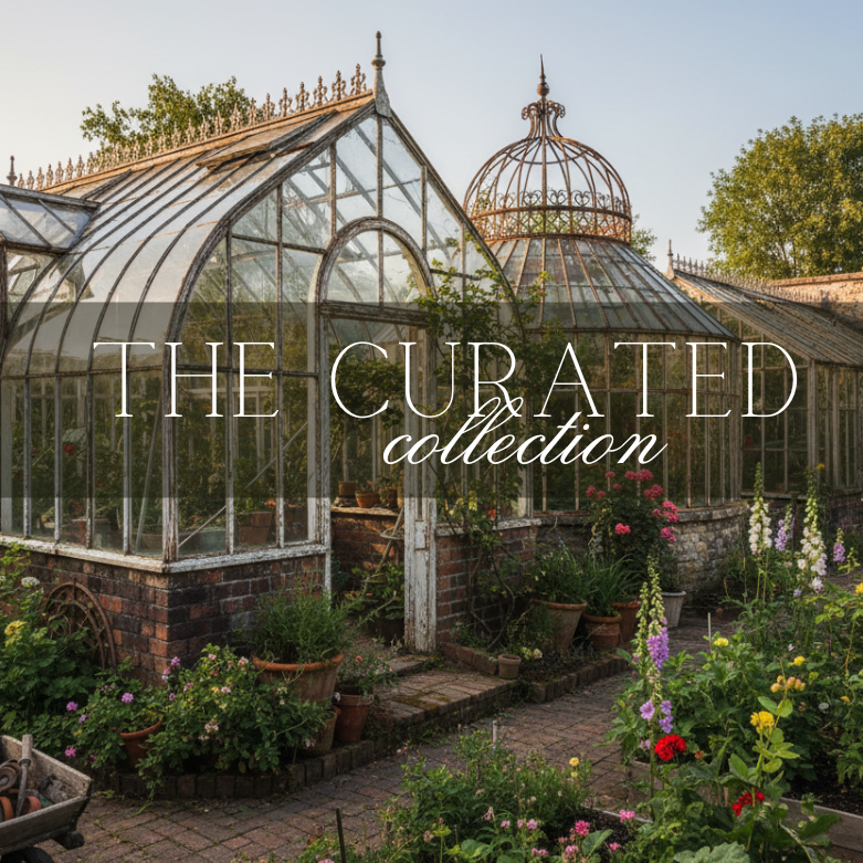 TrueNorth Curated Collection