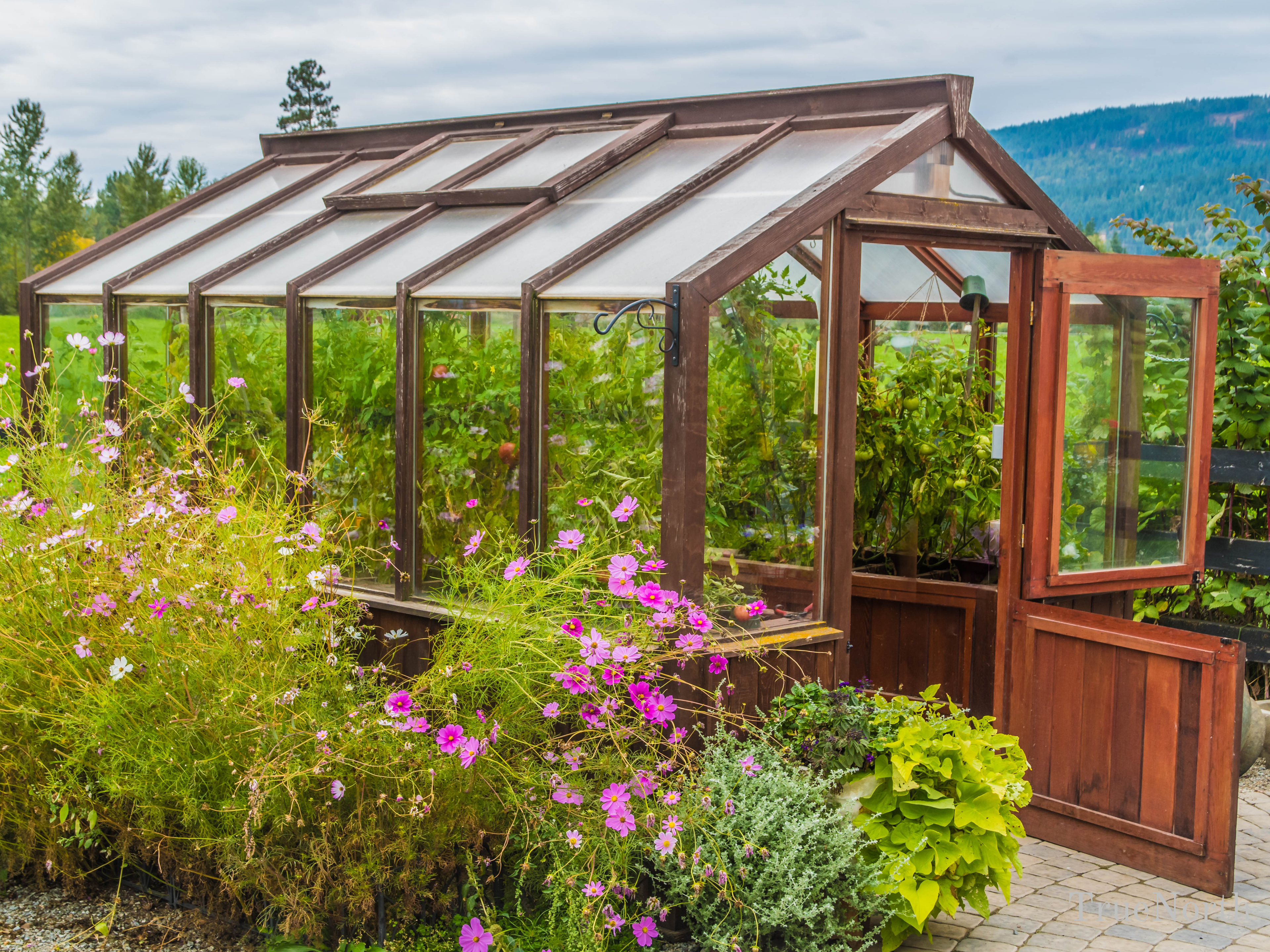 Cedar Ridge Greenhouse – 10x16
