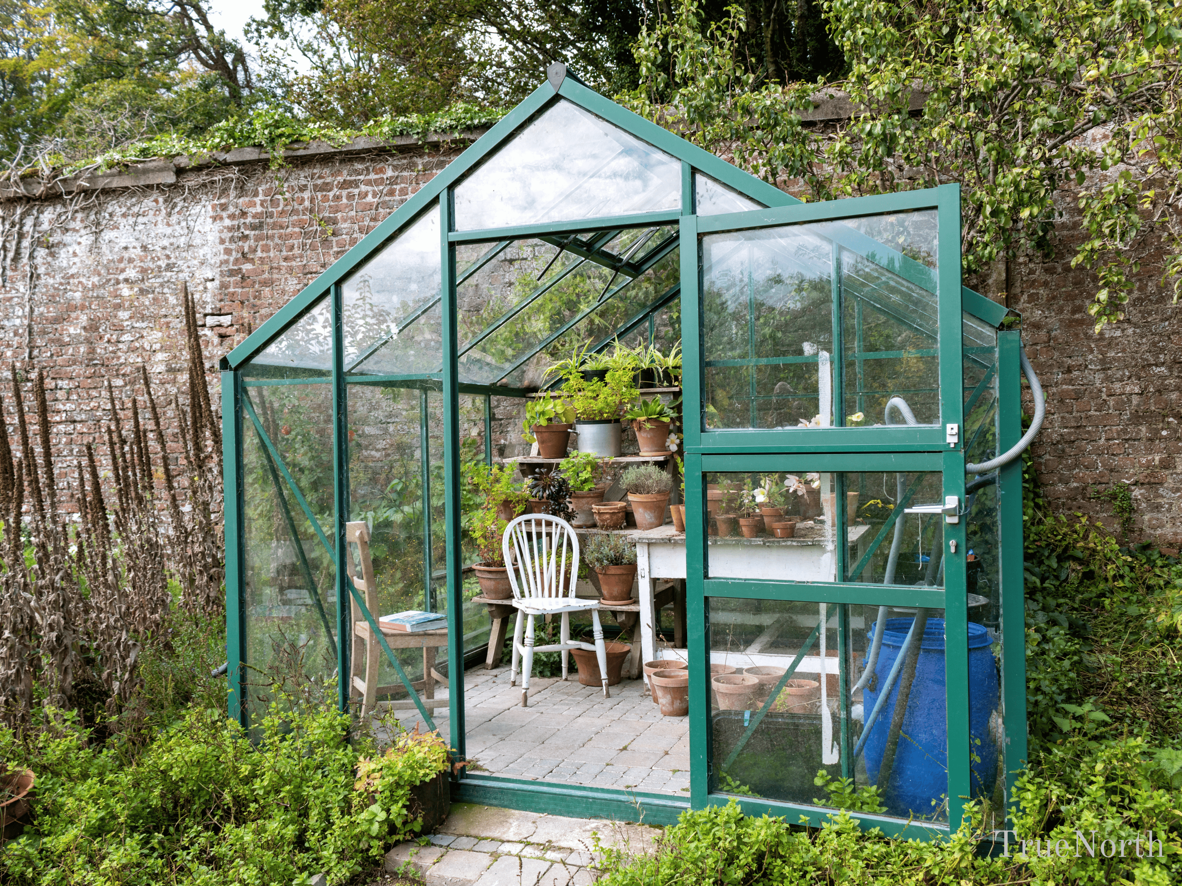 Evergreen Cottage Greenhouse – 8x8